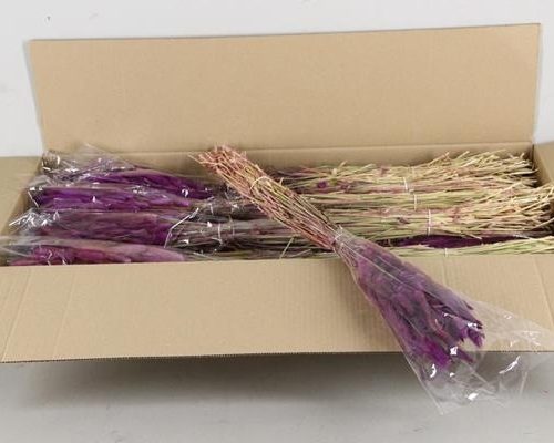 Df Lagurus 100g Milka - Decoratiemateriaal (h%)