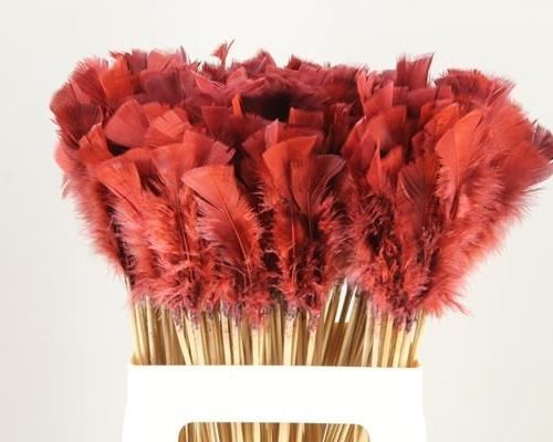 Stick Feather Red (red-brown) - Stick feather bordeaux