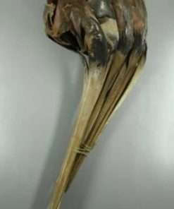 Palm Sing Split-top Natural - Decoratiemateriaal (h%)