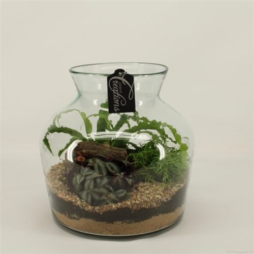 Grcr-2050 green creations	-	2	-	Adet