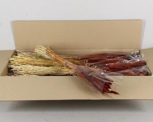 Df Lagurus 100g Brown - Decoratiemateriaal (h%)