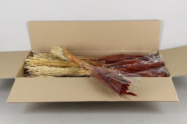 Df Lagurus 100g Brown - Decoratiemateriaal (h%)