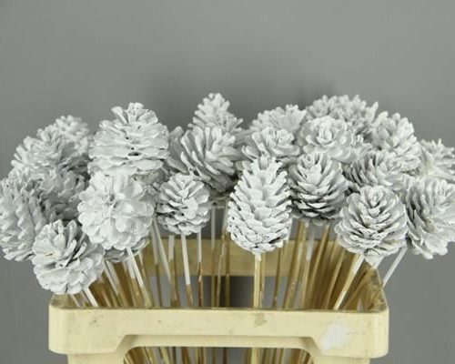 Stick Pine Cone White - Dennenappel h%