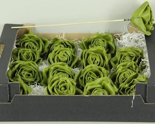 Wax rose olive - Wax rose olive
