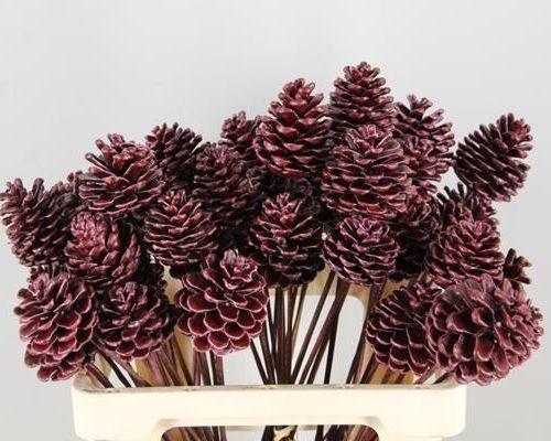 Stick Pine Cone  Wax Red - Dennenappel h%