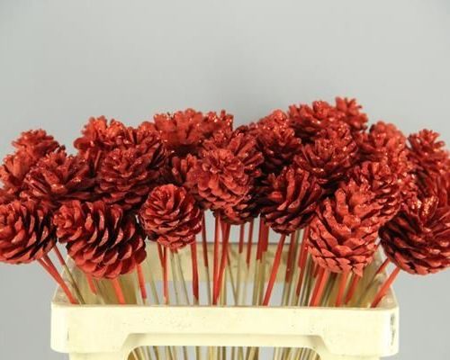 Stick Pine Cone Red+glitter - Dennenappel h%