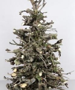 Tree Pear Round Chr. 80cm - Decoratiemateriaal (h%)
