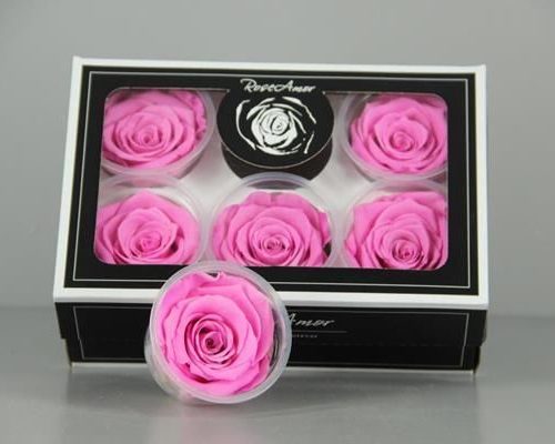 Preserved Rosa Xl Bic 08 - Rozen gr. vendela verf blauw