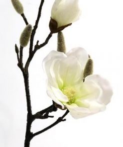 Silk magnolia white  43cm stem - Silk magnolia white  43cm stem