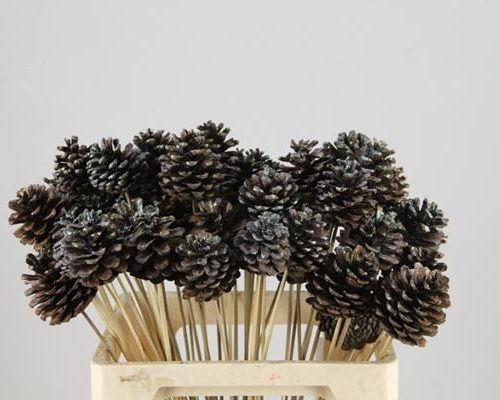 Stick Pine Cone Natural+glittr - Dennenappel h%