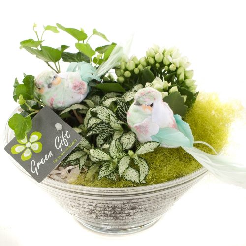 Arrangementen keramiek ovaal tcc 107	-	4	-	Adet