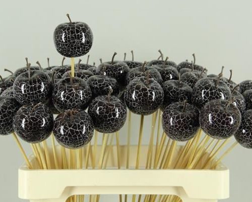 Stick apple 6cm crack black - Stick apple 6cm crack black