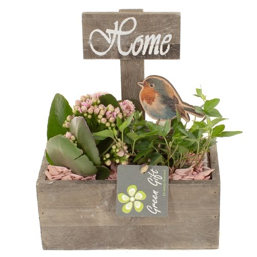 Arrangementen keramiek ovaal tcc 107	-	6	-	Adet
