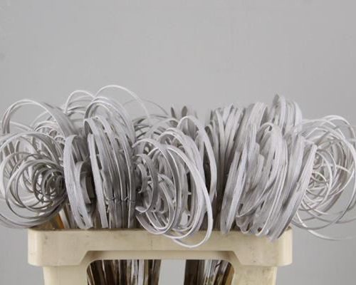 Stem Cane Coil White - Decoratiemateriaal (h%)