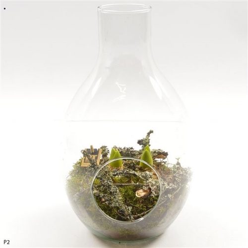 Pthcg 5900	-	3	-	Adet