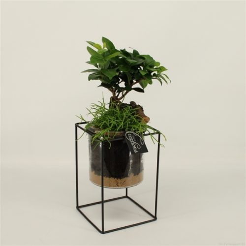 Grcr-2038 green creations	-	3	-	Adet