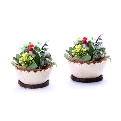 Kamerplanten mix pa112