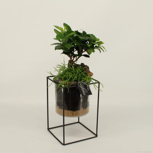 Grcr-2038 green creations	-	3	-	Adet