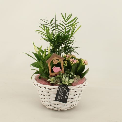 Bacr-2012rz basic creatie	-	3	-	Adet