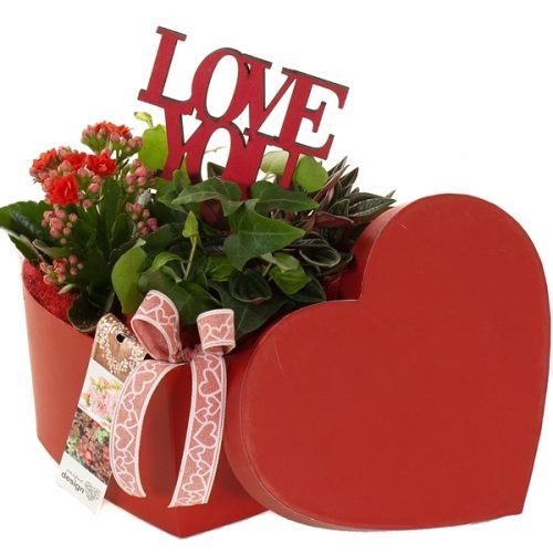 Udv209 hoedendoos hartvorm m	-	2	-	Adet