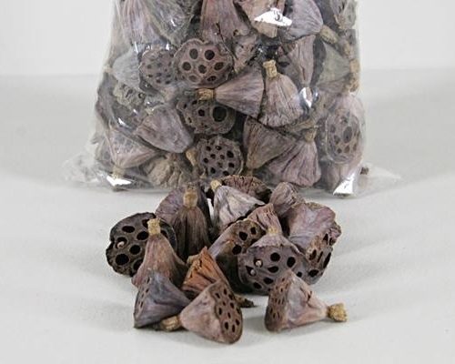 Lotus Mini In Bag 150 Pcs. Nat - Decoratiemateriaal (h%)