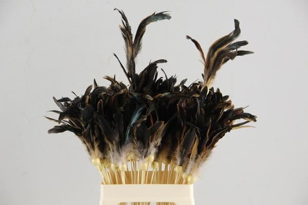 Stick Feather 12-14cm Natural - Decoratiemateriaal (h%) 1 Stick Feather 12-14cm Natural - Decoratiemateriaal (h%)