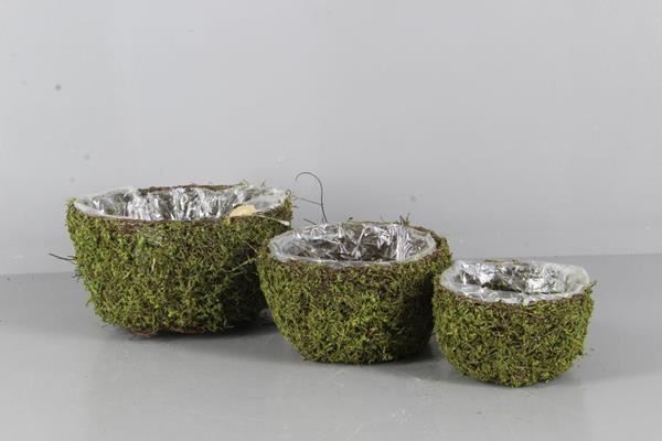 Planter Moss Round S/3 - Decoratiemateriaal (h%)