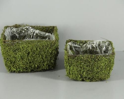 Planter Moss Square S/2 - Decoratiemateriaal (h%)