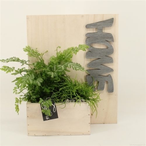 Grcr-2036 green creations	-	5	-	Adet