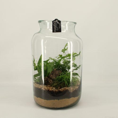 Grcr-2053 green creations	-	2	-	Adet