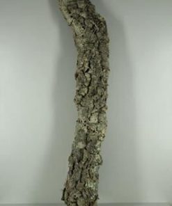 Cork Tube 120-130cm - Decoratiemateriaal (h%)