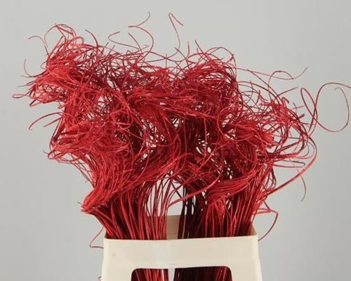 Stem Ting Ting Red+glitter Bs - Ting ting (19%)