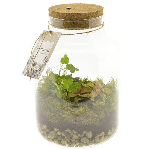 Arrangementen kamerplanten h%	-	4	-	Adet