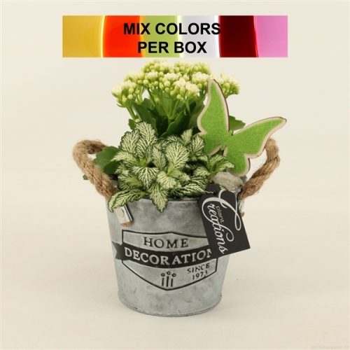 Bacr-2016m basic creatie	-	4	-	Adet