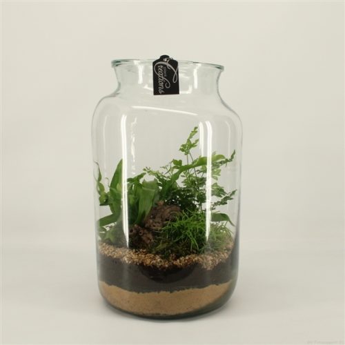 Grcr-2053 green creations	-	2	-	Adet