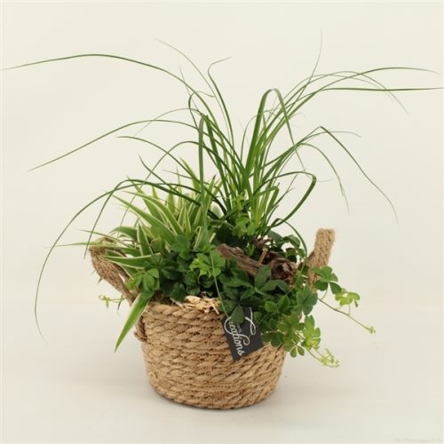 Grcr-2030 green creations	-	2	-	Adet
