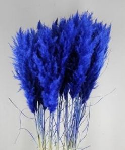 Df pampas paint d.blue - Df pampas paint d.blue