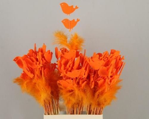 Stick feather+prl+bird orange - Stick feather+prl+bird orange