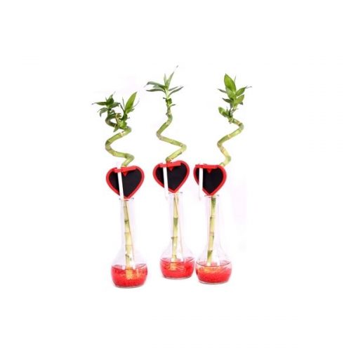 Va108 lb sp35 cm in bolglas+steent