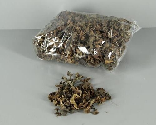 Curly Pod Natural (500g) - Decoratiemateriaal (h%)