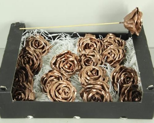 Wax rose copper - Wax rose copper