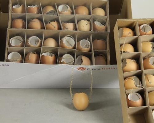 Egg Chicken Brown Broken Box12 - Decoratiemateriaal (h%)