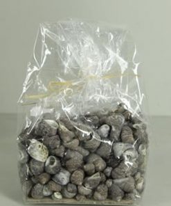 Shell Karpa Kadu (500gr) - Decoratiemateriaal (h%)