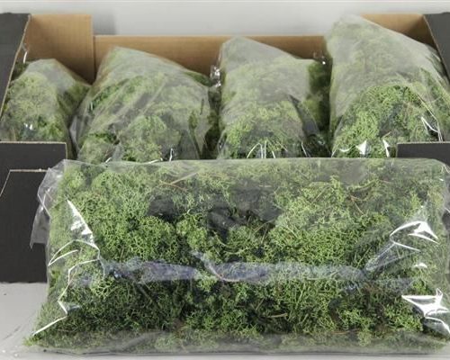 Moss icelandic 500gr darkgreen - Moss icelandic 500gr darkgreen