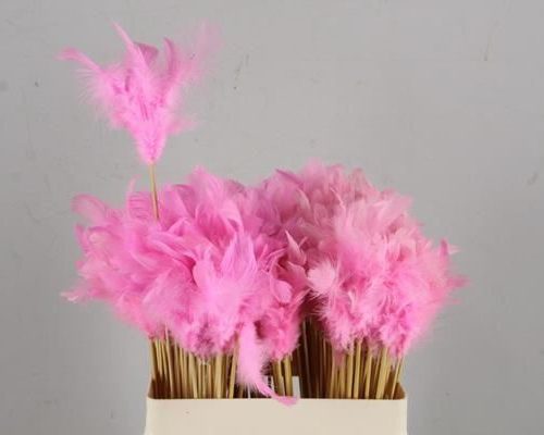 Stick Feather Pink (small) - Decoratiemateriaal (h%)