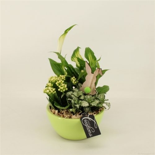 Baps-2006gr basic pasen	-	6	-	Adet