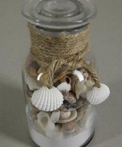 Shell Mix-glass Bottle Medium - Decoratiemateriaal (h%)