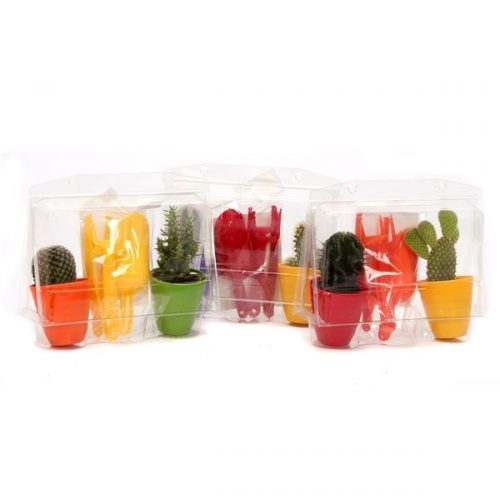 R87) 2x cactus 5,5 cm in plastic ri