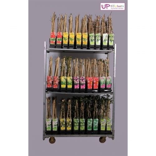 Klimplanten mix cc exclusief