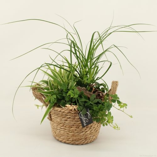 Grcr-2030 green creations	-	2	-	Adet